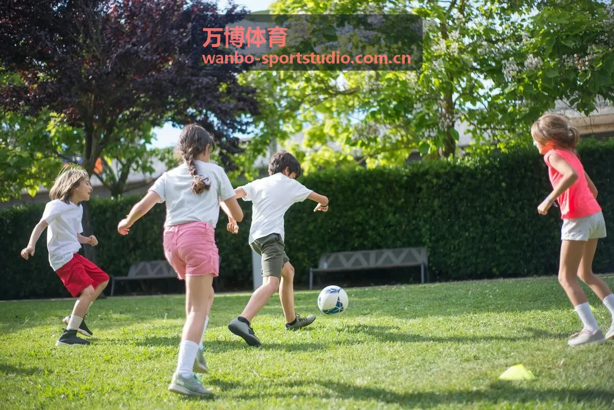 万博体育综合训练器推荐